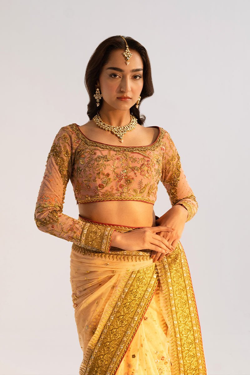 Pakistani Peach Embroidered Net Saree with Pink Jaal Blouse (2-Piece) - Image 3