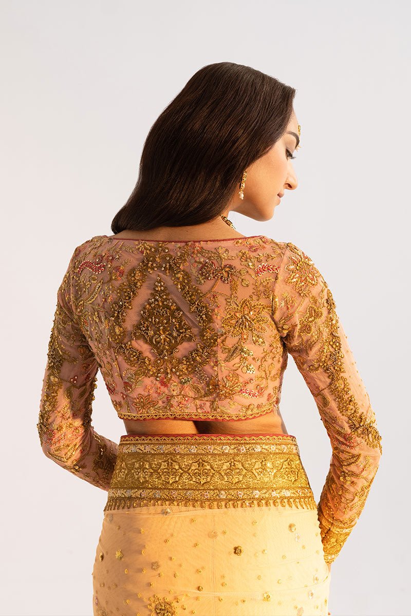 Pakistani Peach Embroidered Net Saree with Pink Jaal Blouse (2-Piece) - Image 4