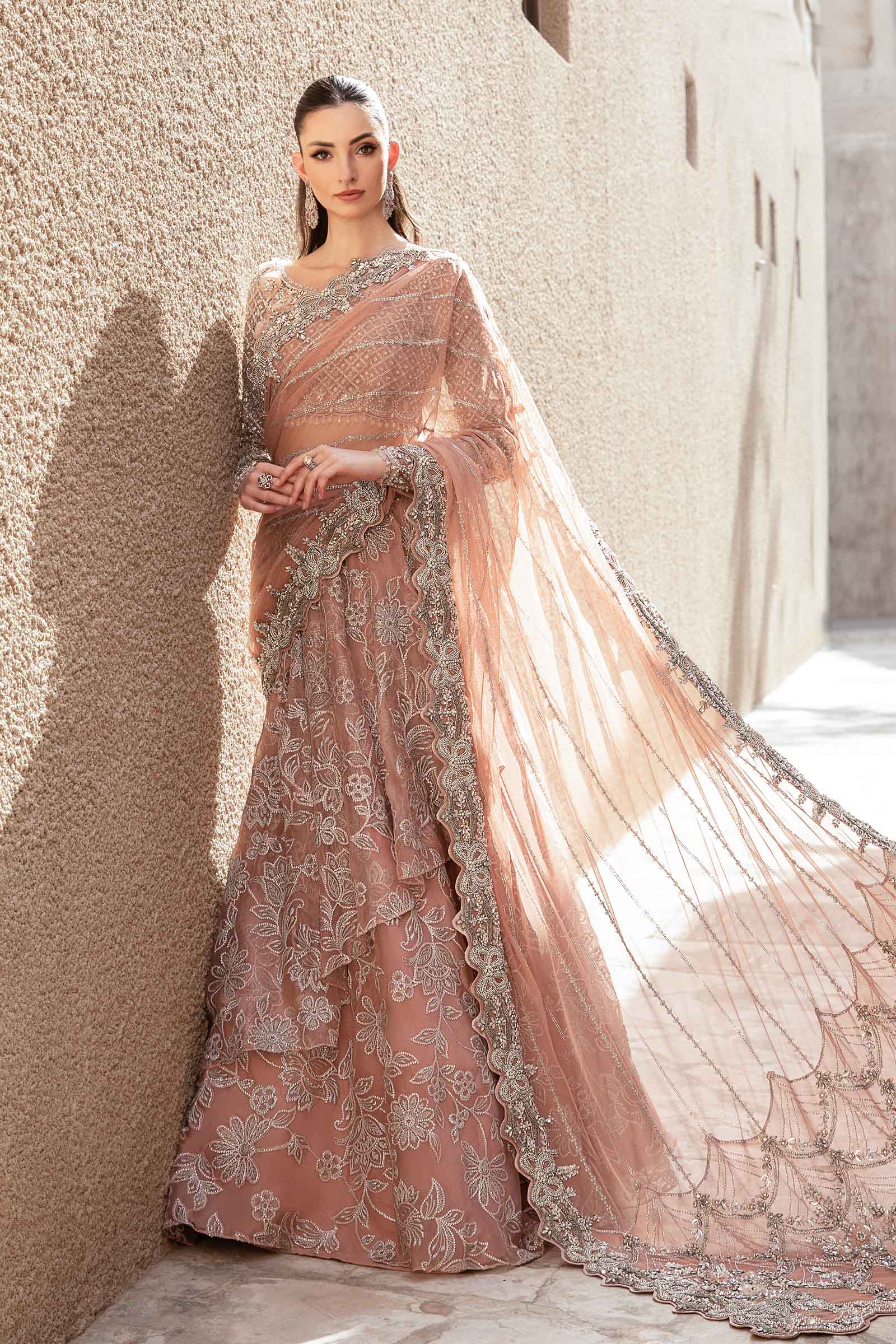 Pakistani Nude Pink Hand-Embellished Net Organza Saree (3-Piece) - Image 4