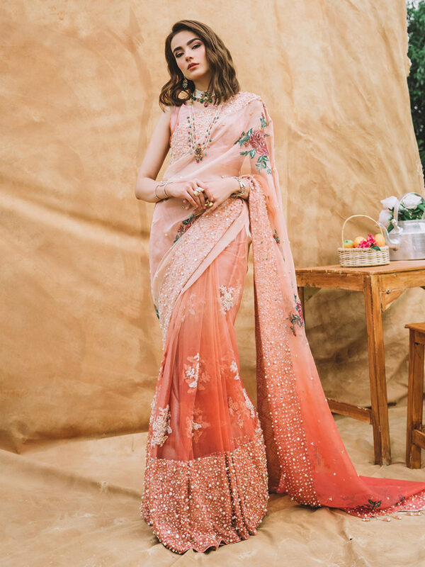 Peach Hand-Painted Organza Saree (2-Piece) - Image 1