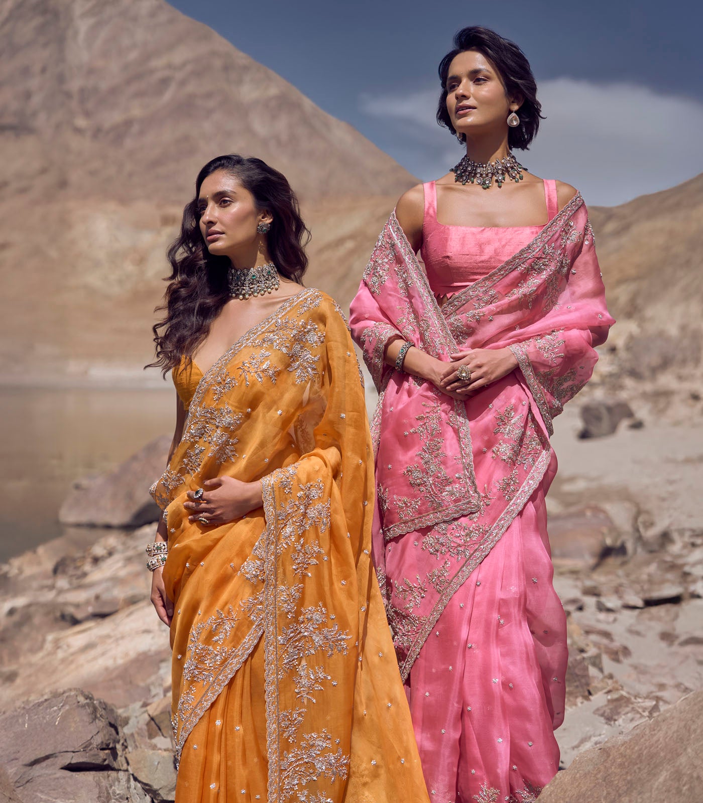 Blush Pink Embroidered Organza Saree (2-Piece) - Image 3