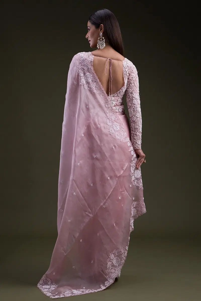 Candy Pink Stone Embroidered Organza Saree (2-Piece) - Image 5