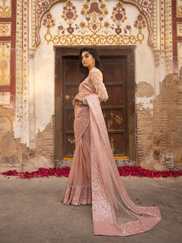 Indian Blush Pink Embellished Velvet & Net Saree (2-Piece) - Image 2