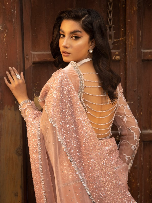 Pakistani Blush Pink Embellished Velvet & Net Saree (2-Piece) - Image 3