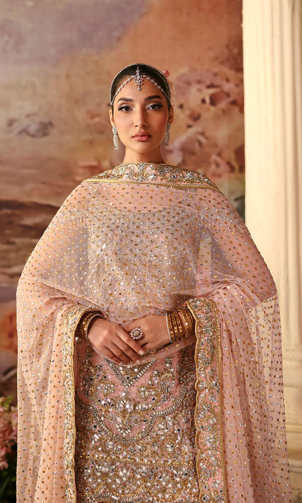 Pakistani Soft Pink Mirror Work Chiffon & Raw Silk Sharara (3-Piece) - Image 3