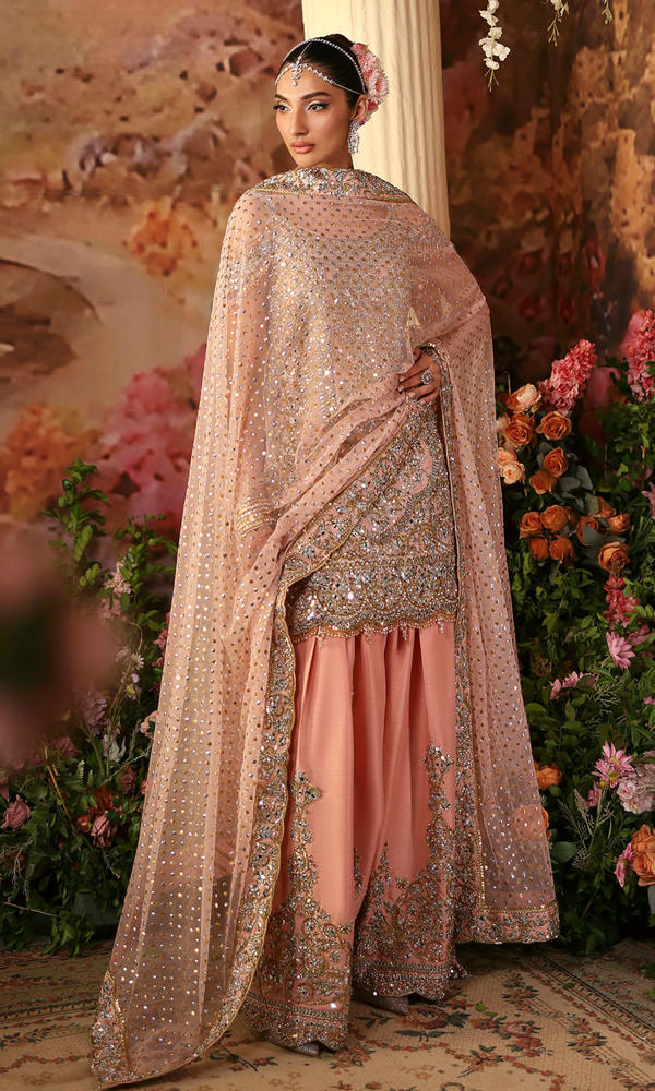 Pakistani Soft Pink Mirror Work Chiffon & Raw Silk Sharara (3-Piece) - Image 5