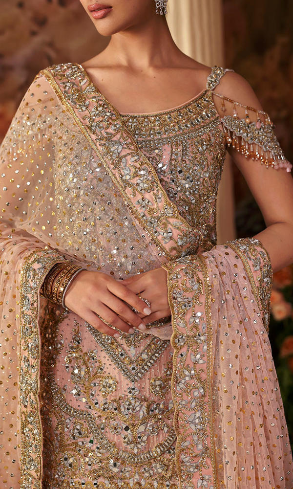 Pakistani Soft Pink Mirror Work Chiffon & Raw Silk Sharara (3-Piece) - Image 8