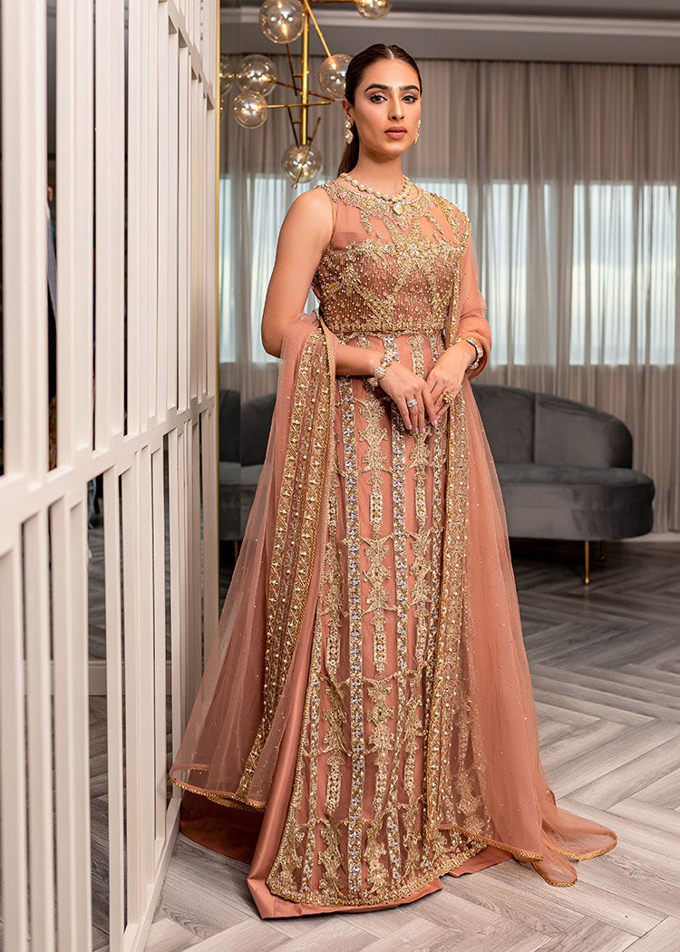 Pakistani Tea Pink Embellished Net & Silk Sharara (3-Piece) - Image 1