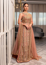Pakistani Tea Pink Embellished Net & Silk Sharara (3-Piece) - Image 2