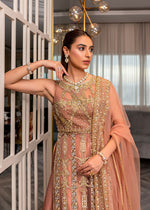 Pakistani Tea Pink Embellished Net & Silk Sharara (3-Piece) - Image 3