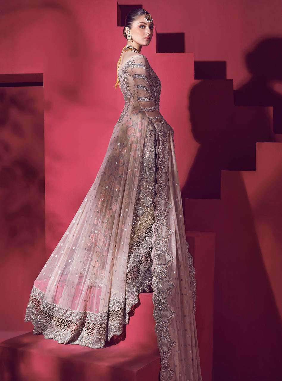 Blush Embroidered Net Sharara Dress (3-Piece) - Image 2