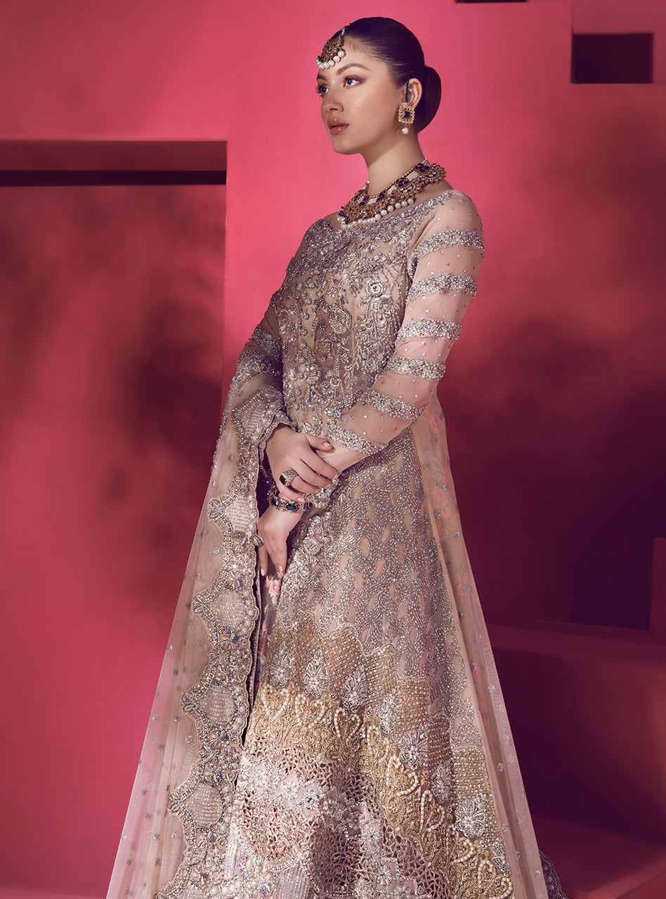 Blush Embroidered Net Sharara Dress (3-Piece) - Image 3