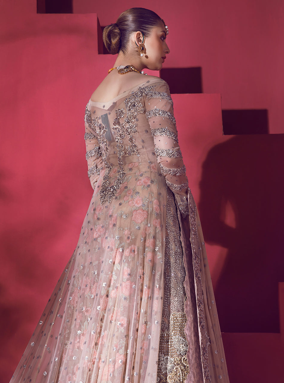Blush Embroidered Net Sharara Dress (3-Piece) - Image 5