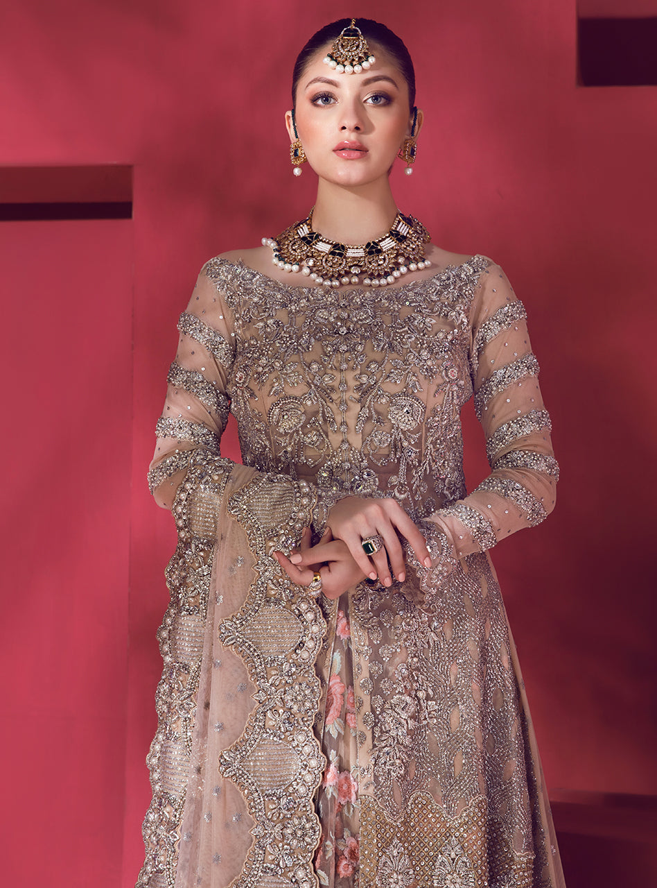 Blush Embroidered Net Sharara Dress (3-Piece) - Image 6