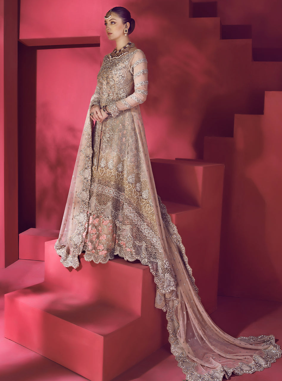 Blush Embroidered Net Sharara Dress (3-Piece) - Image 7
