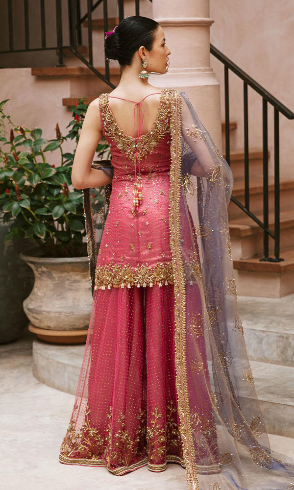 Pakistani Candy Pink Embroidered Net Sharara (3-Piece) - Image 4
