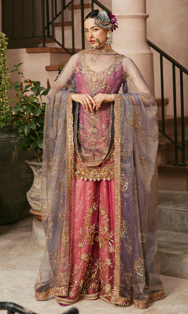 Pakistani Candy Pink Embroidered Net Sharara (3-Piece) - Image 5