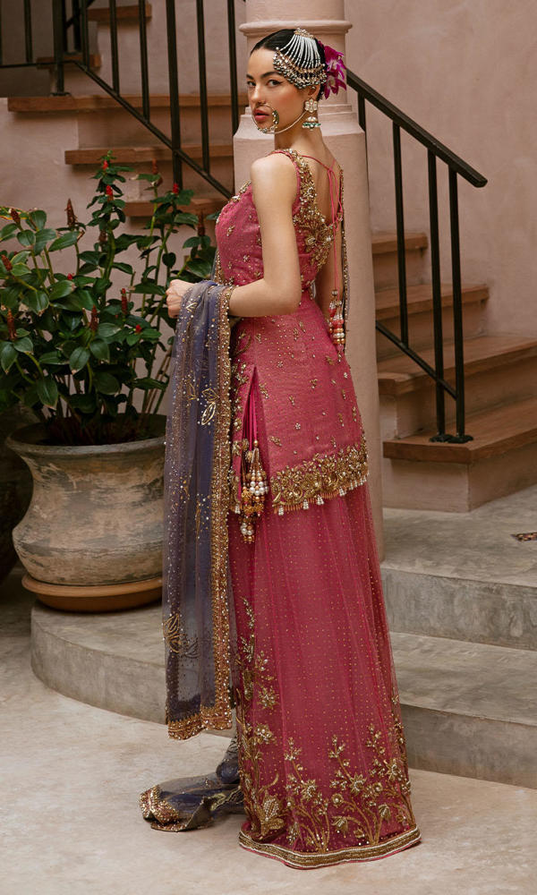Pakistani Candy Pink Embroidered Net Sharara (3-Piece) - Image 6