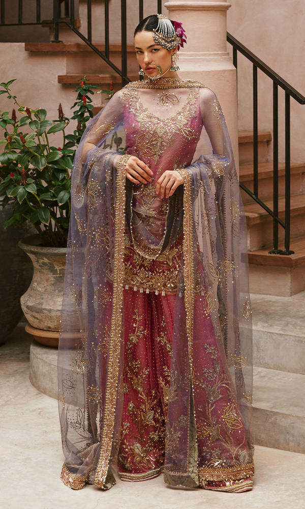 Pakistani Candy Pink Embroidered Net Sharara (3-Piece) - Image 7