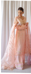 Blush Pink Embroidered Organza Sharara (4-Piece) - Image 1