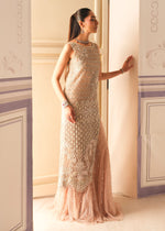 Pakistani Salmon Pink Embroidered Organza Sharara (3-Piece) - Image 5