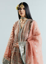 Pakistani Peach Silver Embroidered Organza Jacket Sharara (3-Piece) - Image 3