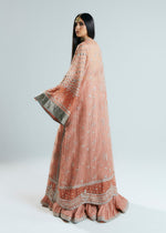 Pakistani Peach Silver Embroidered Organza Jacket Sharara (3-Piece) - Image 5