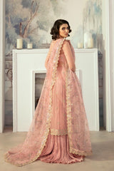 Blush Pink Embroidered Organza Sharara (3-Piece) - Image 5