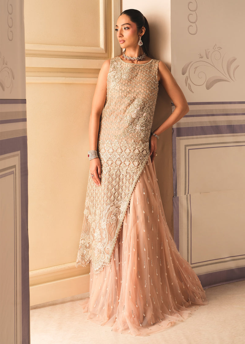 Indian Salmon Pink Embroidered Organza Sharara (3-Piece) - Image 5