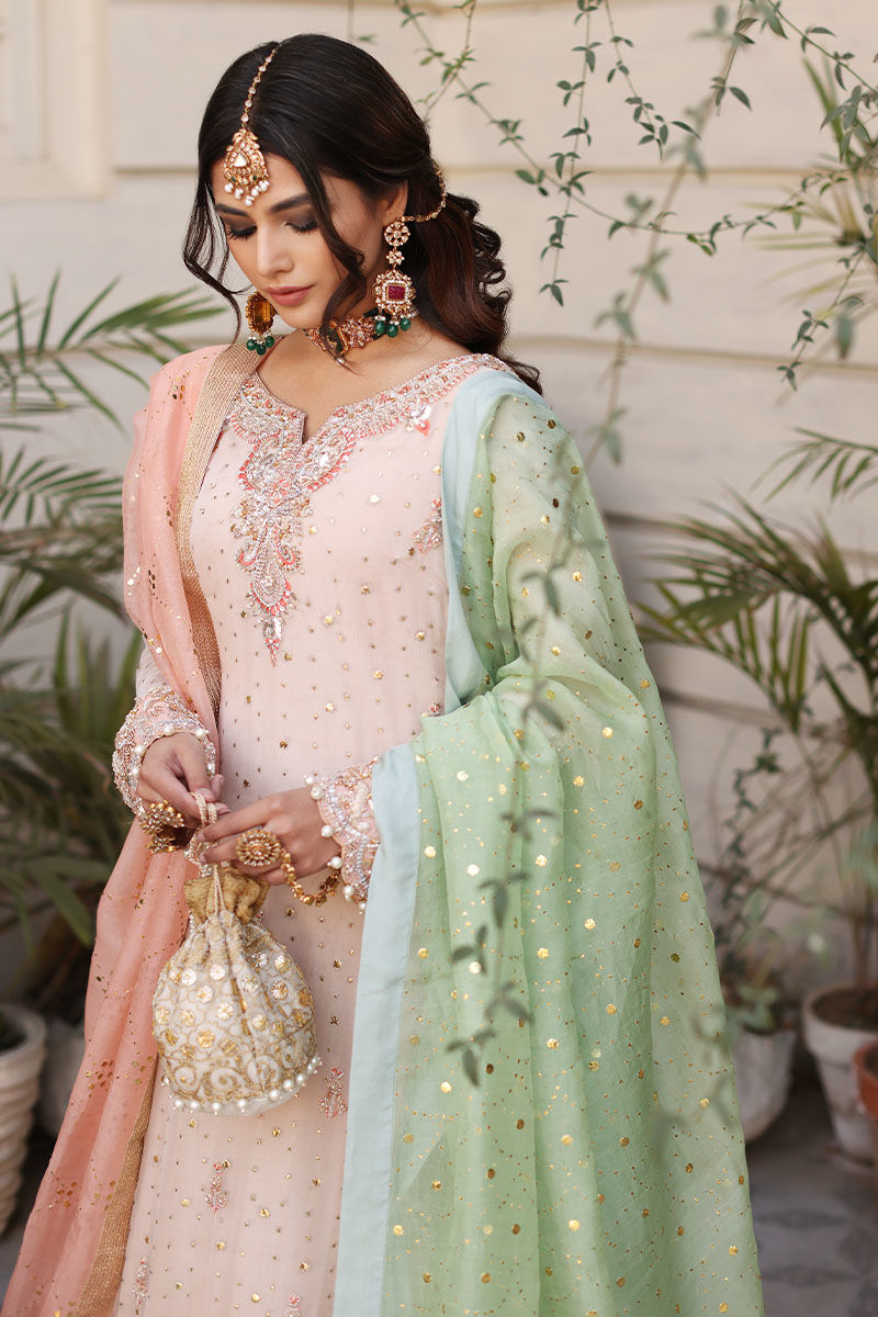 Pakistani Soft Pink Kaamdani Silk-Blend Sharara (3-Piece) - Image 4