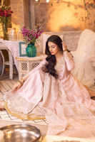 Blush Pink Embroidered Silk Kalidaar Sharara (3-Piece) - Image 8