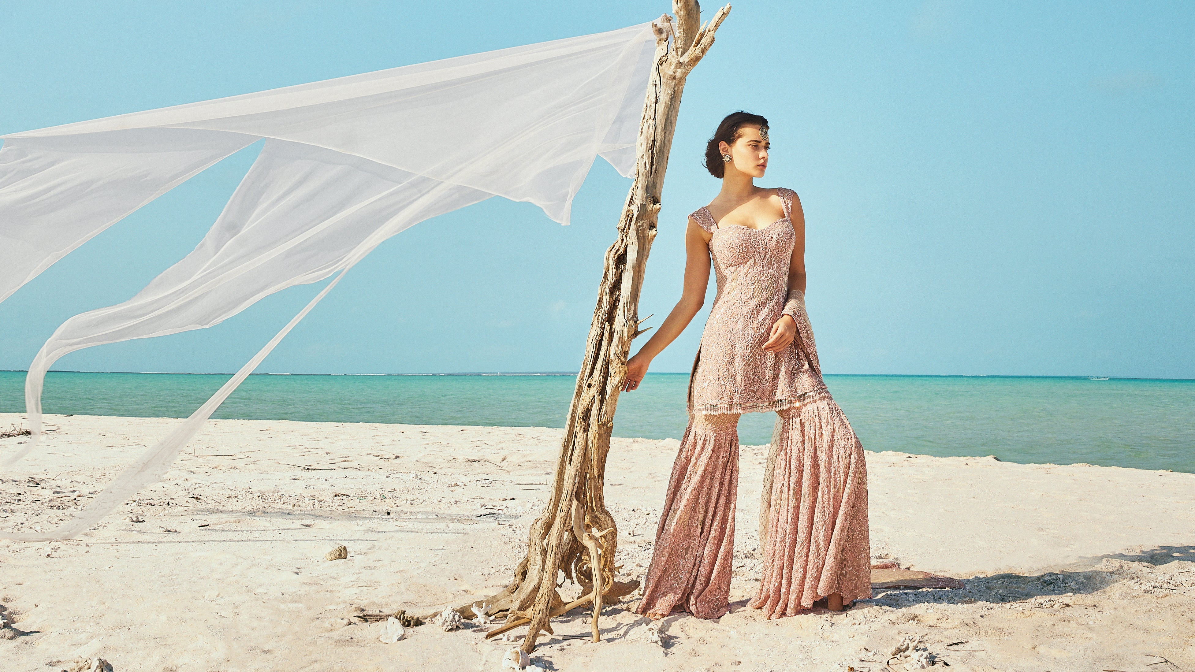 Indian Blush Pink Embellished Silk Organza Bridal Sharara (3-Piece) - Image 3