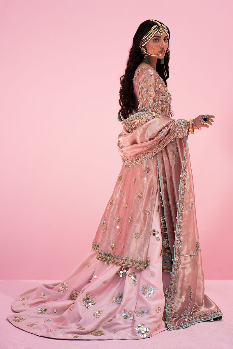 Blush Pink Embellished Net & Silk Sharara (3-Piece) - Image 5
