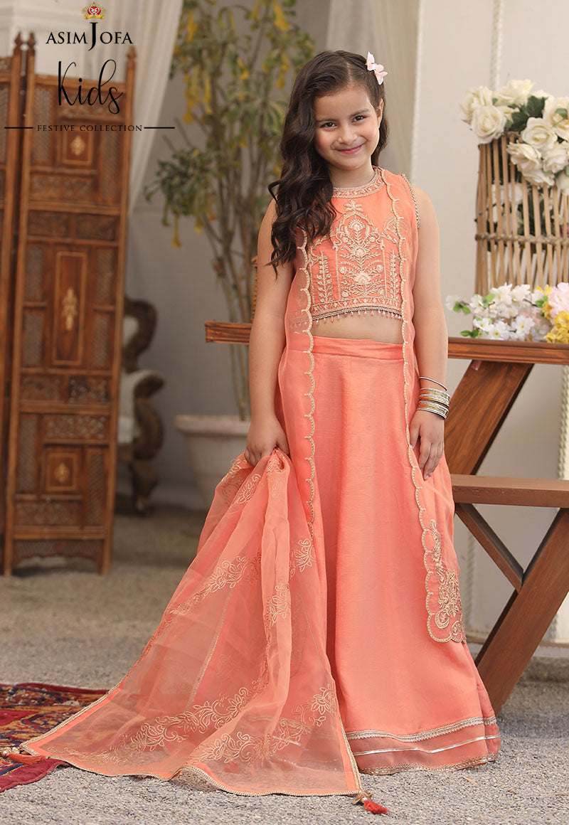 Pakistani Peach Embroidered Organza Lehenga Set (3-Piece) - Image 1