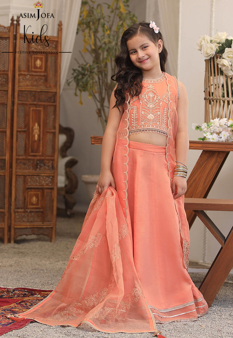 Pakistani Peach Embroidered Organza Lehenga Set (3-Piece) - Image 4