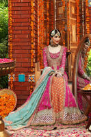 Pakistani Cabaret Pink Embroidered Net & Silk-Blend Lehenga (3-Piece) - Image 14