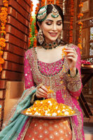 Pakistani Cabaret Pink Embroidered Net & Silk-Blend Lehenga (3-Piece) - Image 5