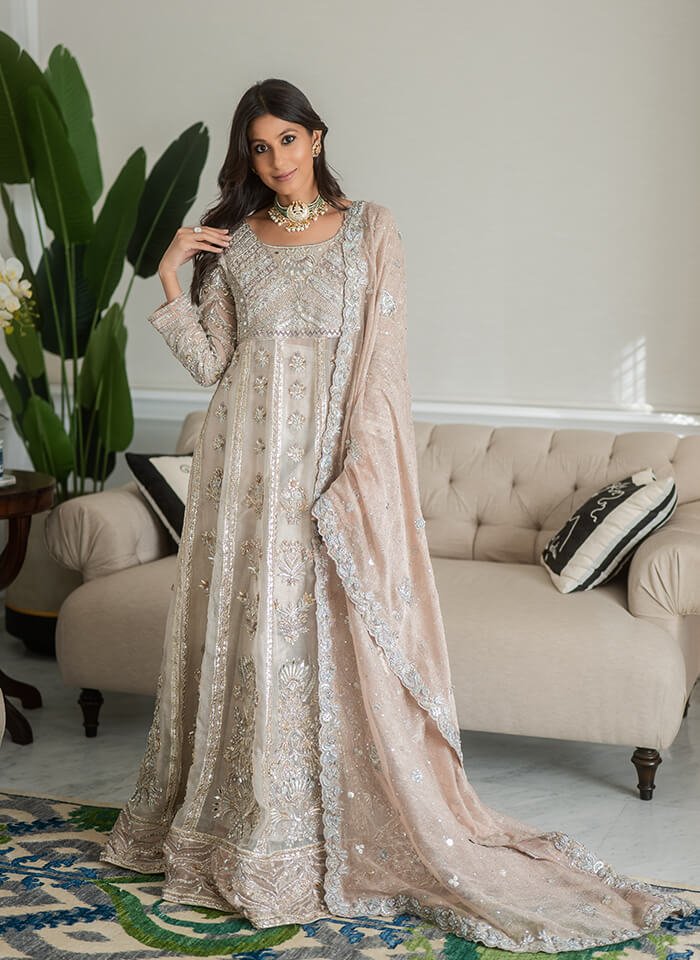 Blush Embroidered Organza Pishwas Dress (3-Piece) - Image 1