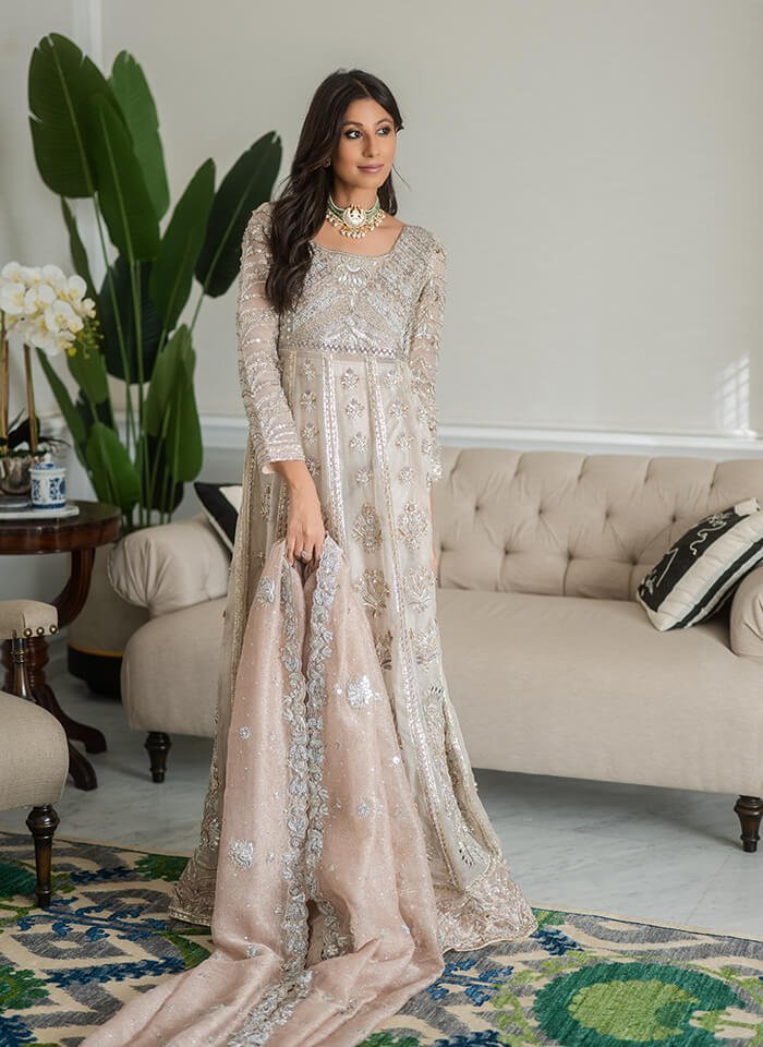 Blush Embroidered Organza Pishwas Dress (3-Piece) - Image 3