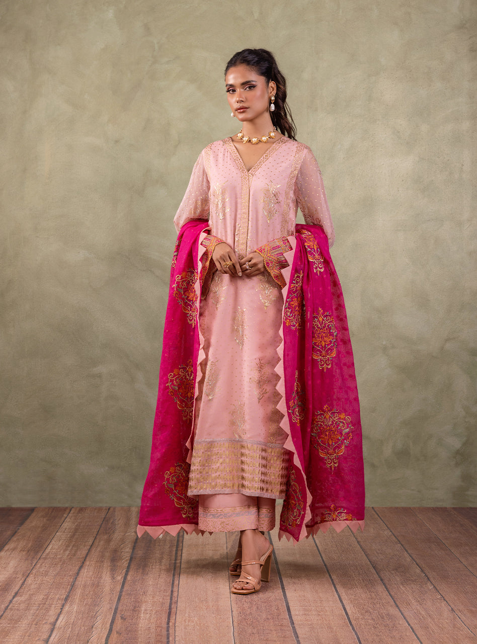 Soft Pink Block Printed Chiffon Salwar Kameez (3-Piece) - Image 1