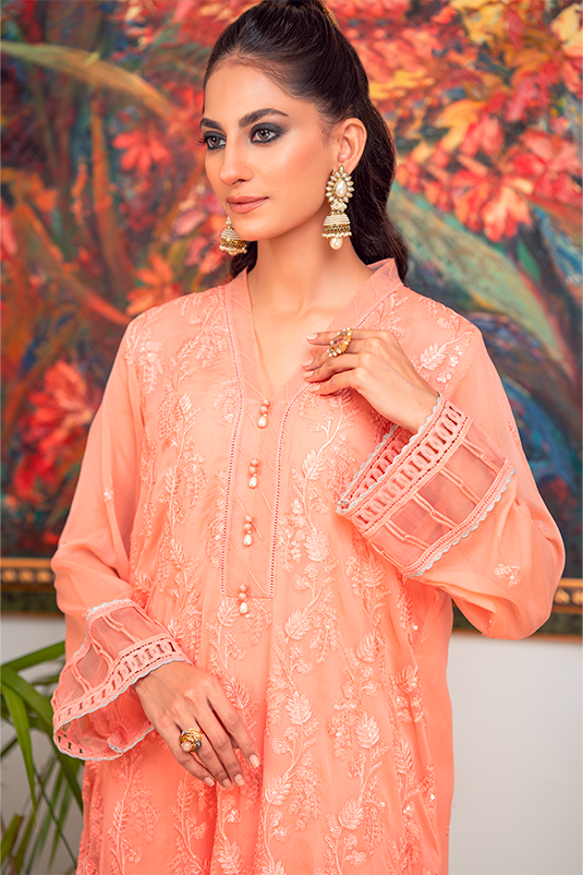 Pakistani Peach Embroidered Chiffon Salwar Kameez (2-Piece) - Image 4