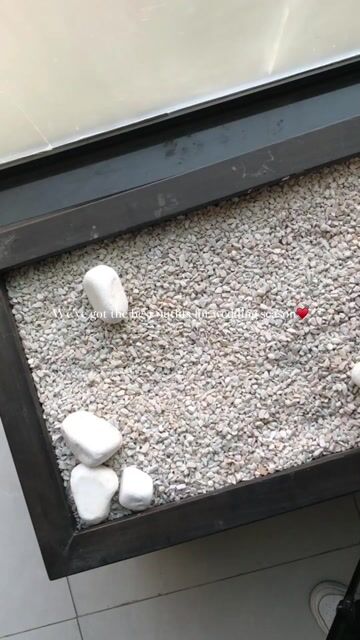 Pakistani Magenta Embroidered Chiffon Kurta Set (3-Piece) - Image 8