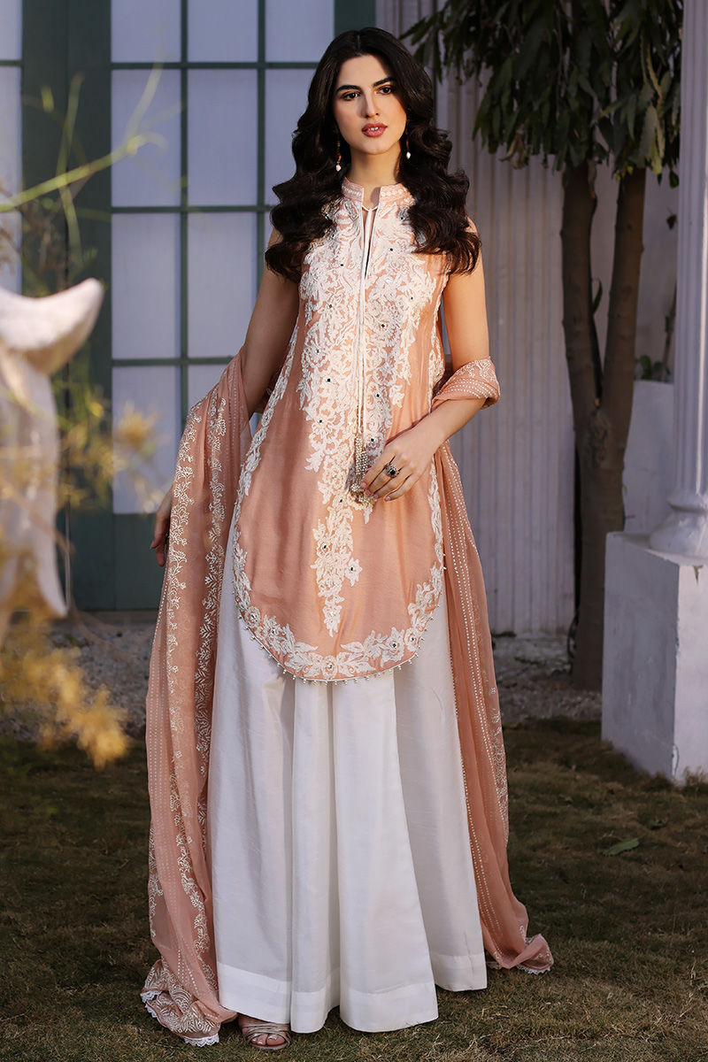 Peach Aari Embroidered Cotton Net Salwar Kameez (3-Piece) - Image 1