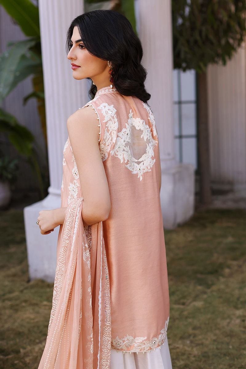 Peach Aari Embroidered Cotton Net Salwar Kameez (3-Piece) - Image 5