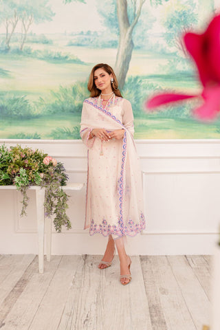 Pakistani Soft Pink Embroidered Khaddi Net Salwar Kameez (4-Piece) - Image 6