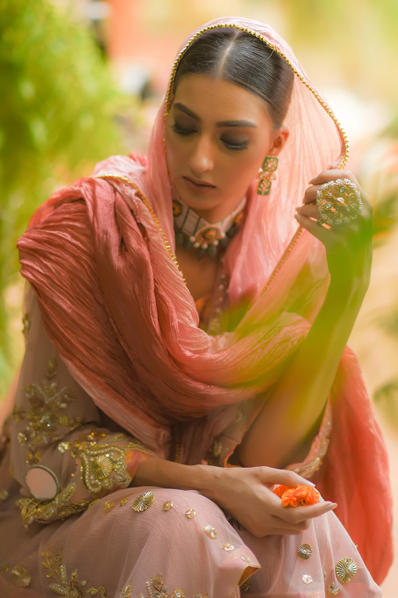 Blush Pink Zardozi Net Salwar Kameez (3-Piece) - Image 5