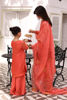Pakistani Coral Ari Embroidered Organza Salwar Kameez (3-Piece) - Image 12