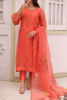 Pakistani Coral Ari Embroidered Organza Salwar Kameez (3-Piece) - Image 2