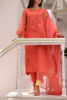Pakistani Coral Ari Embroidered Organza Salwar Kameez (3-Piece) - Image 3