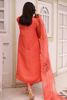 Pakistani Coral Ari Embroidered Organza Salwar Kameez (3-Piece) - Image 4